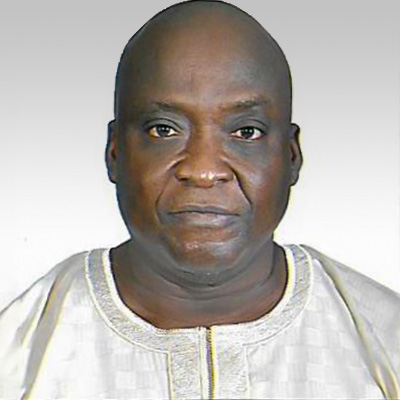 Olusegun M Sanni